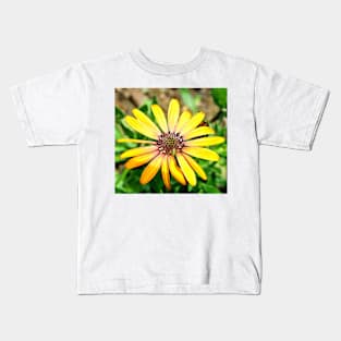 Orange Haze Daisy Kids T-Shirt